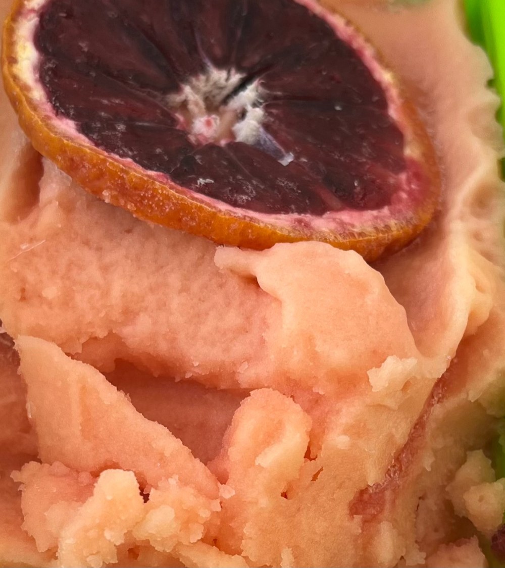 Blood orange sorbetto