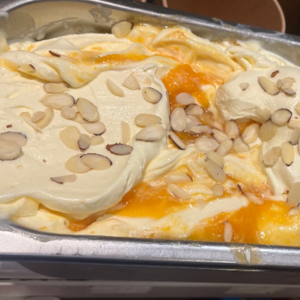 One pint of Apricot Almond gelato.