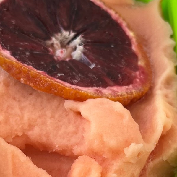 One pint of Blood Orange Sorbetto gelato.