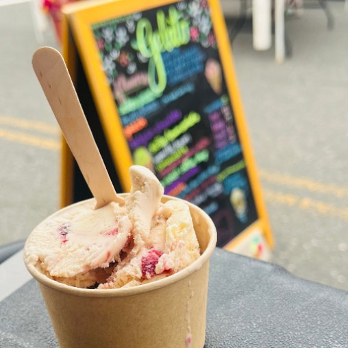 One pint of Italian Plum gelato.