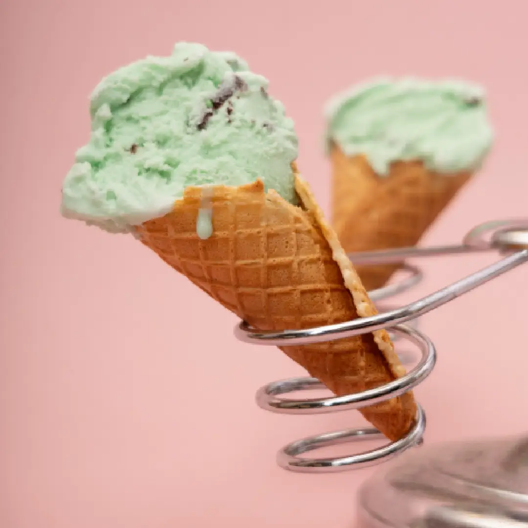 One pint of Mint Chocolate Chip gelato.