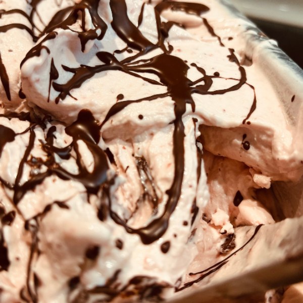 One pint of Strawberry Stracciatella gelato.