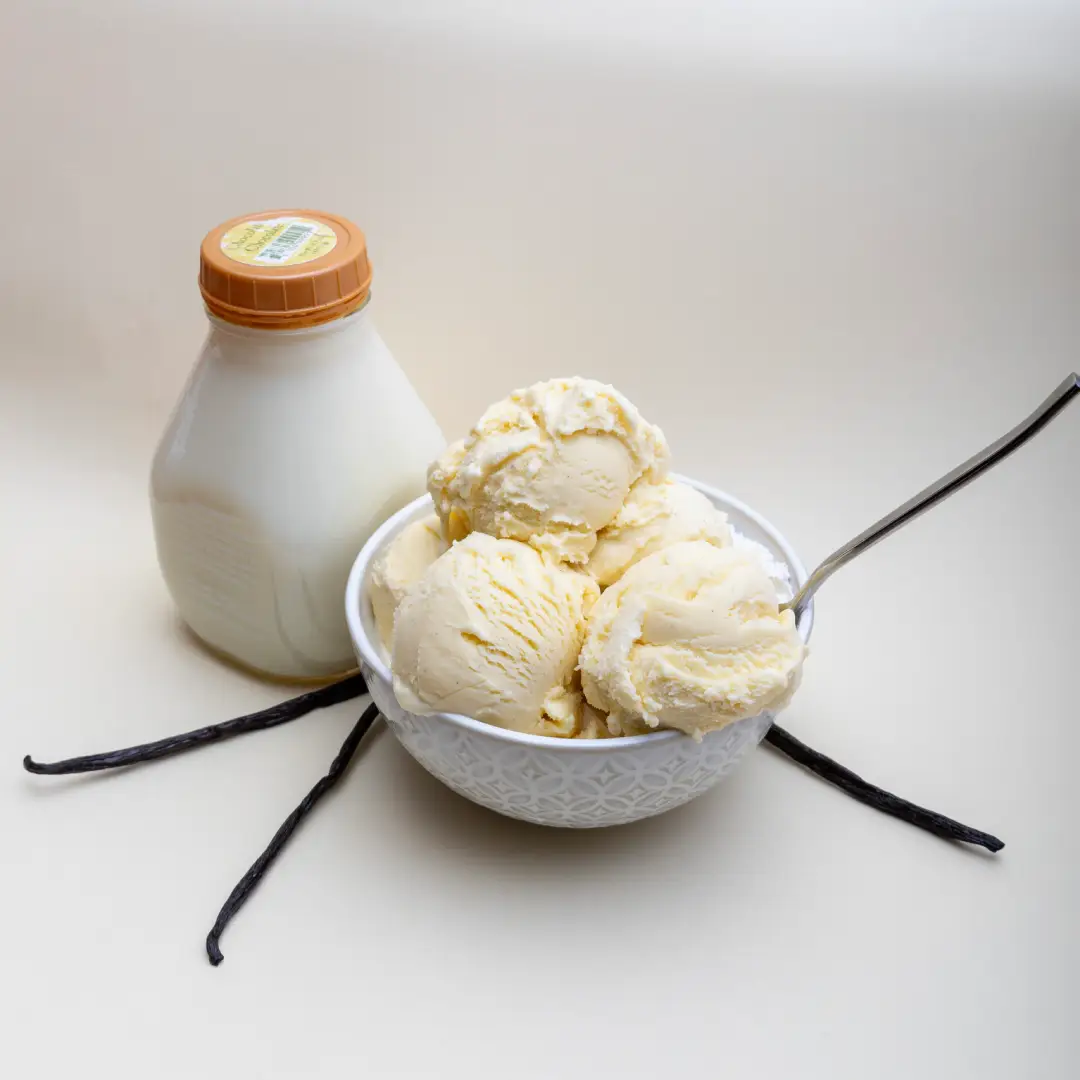 One pint of Vanilla Bean gelato.