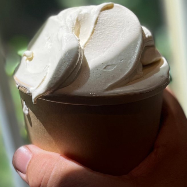 One pint of Vanilla Bean gelato.